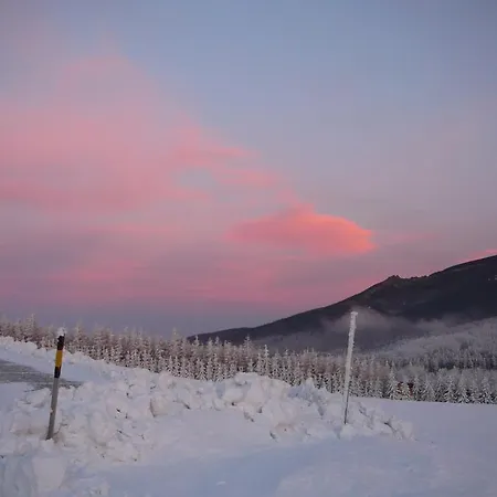 Racek アパート Ostružná